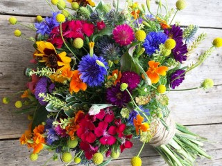 Rätsel «Multicolored bouquet»