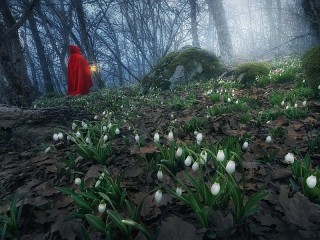 Jigsaw Puzzle «Red riding hood»