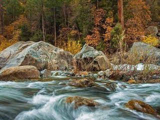 Jigsaw Puzzle «River and autumn forest»
