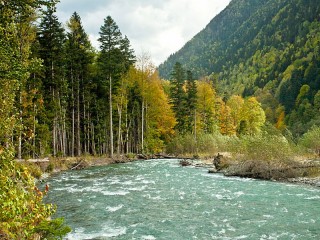 Zagadka «River in the forest»