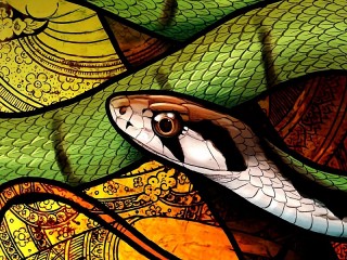 Jigsaw Puzzle «Reptile»