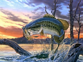 Пазл «Рыба»