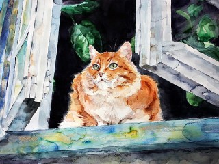 Пазл «Рыжий кот на окне»