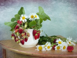 Rätsel «Chamomile and strawberries»