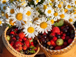 Пазл «Ромашки и ягоды»