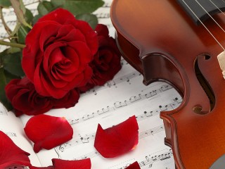 Пазл «Роза и скрипка»