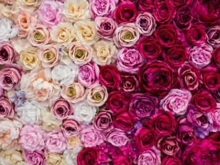 Puzzle «Roses»