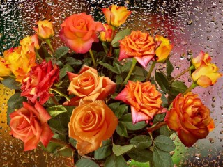 Bulmaca «roses»