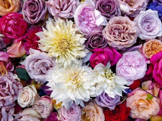 Jigsaw Puzzle «Roses and dahlias»