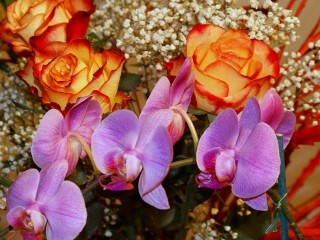 Пазл «Розы и орхидеи»