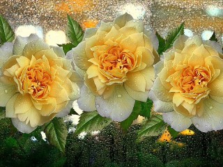 Jigsaw Puzzle «Roses on glass»