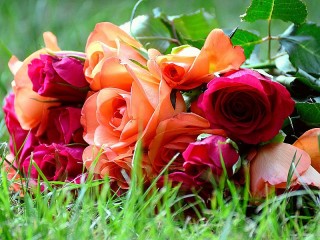 Jigsaw Puzzle «Roses on the grass»