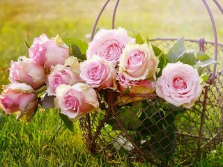 Jigsaw Puzzle «Roses in a basket»