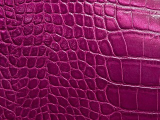 Rätsel «Pink leather»