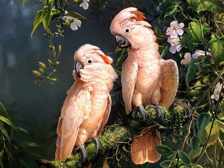 Rompecabezas «pink cockatoos»