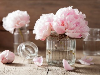 Jigsaw Puzzle «Pink peonies»