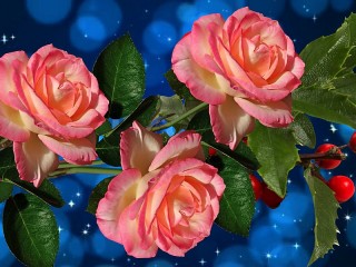 Rompicapo «Pink roses»