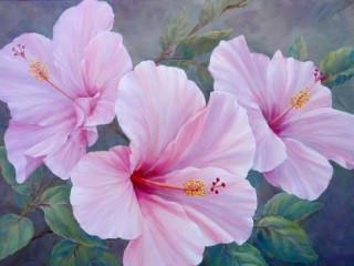 Jigsaw Puzzle «Pink hibiscus»