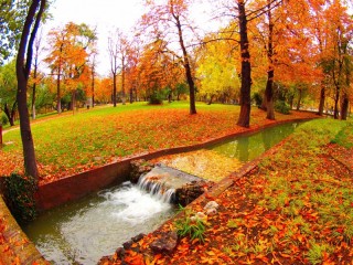 Slagalica «Stream in the park»