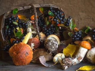Slagalica «Rowan and mushrooms»