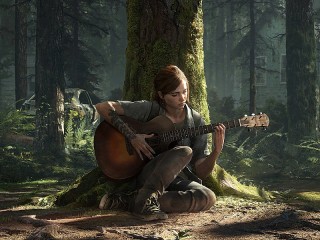 Jigsaw Puzzle «With a guitar in the woods»