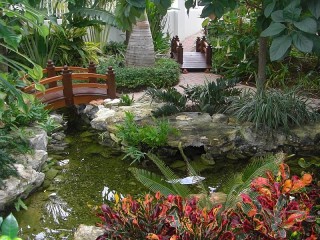 Zagadka «A garden with a pond»