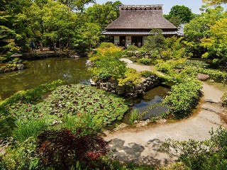 Пазл «Сад в Японии»