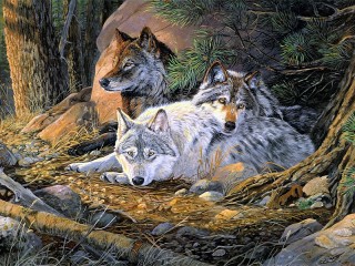 Пазл «Family of wolves»