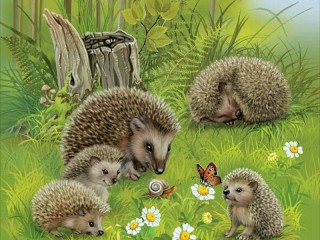 Слагалица «A family of hedgehogs»