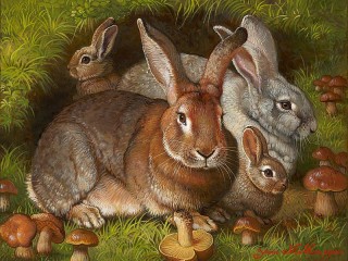 Jigsaw Puzzle «Rabbits»