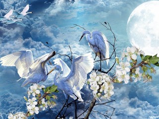 Jigsaw Puzzle «Silver moon»