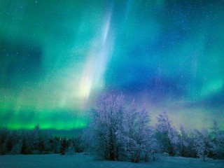 Zagadka «Polar lights»