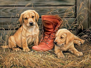 Пазл «Puppies and shoes»