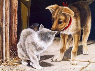 Пазл «Puppy and cat»