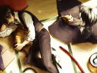 Rompecabezas «Shinsengumi and cats»