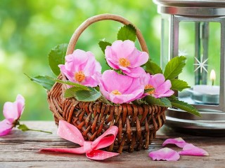 Jigsaw Puzzle «Rosehip in a basket»