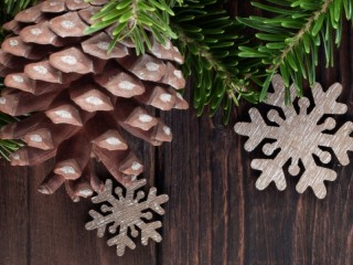 Пазл «Pine cone and snowflakes»