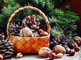 Jigsaw Puzzle «Cones and nuts»