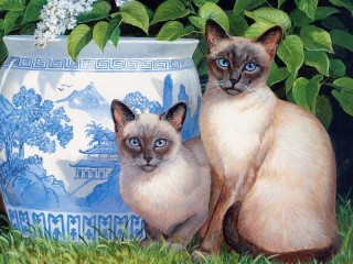 Jigsaw Puzzle «Siamese cats»