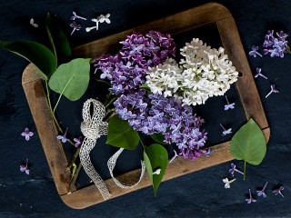Jigsaw Puzzle «Lilac and lace»