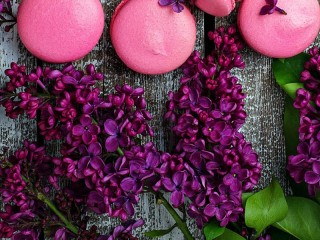 Zagadka «Lilacs in still life»