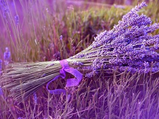 パズル «Lilac bouquet»
