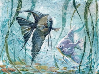 Bulmaca «Angelfish»