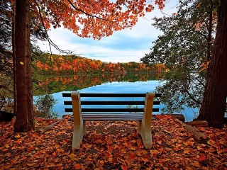 Jigsaw Puzzle «Bench with a view»