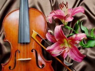 Пазл «Скрипка и лилии»