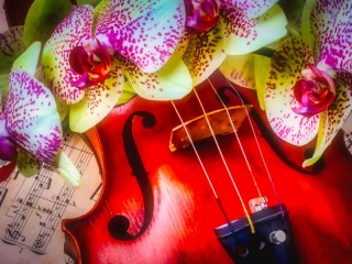 Jigsaw Puzzle «Violin and orchids»