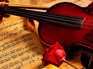 Puzzle «Violin and rose»