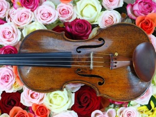 Jigsaw Puzzle «Violin and roses»