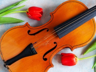 Пазл «Скрипка и тюльпаны»