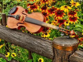 Пазл «Скрипка на заборе»